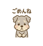 ゆるふわシュナさん のんびり日常スタンプ（個別スタンプ：12）