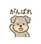 ゆるふわシュナさん のんびり日常スタンプ（個別スタンプ：16）