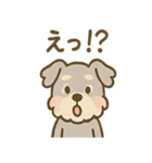 ゆるふわシュナさん のんびり日常スタンプ（個別スタンプ：17）
