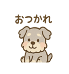 ゆるふわシュナさん のんびり日常スタンプ（個別スタンプ：18）