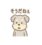 ゆるふわシュナさん のんびり日常スタンプ（個別スタンプ：31）