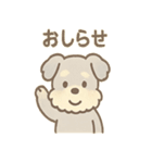 ゆるふわシュナさん のんびり日常スタンプ（個別スタンプ：38）