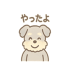 ゆるふわシュナさん のんびり日常スタンプ（個別スタンプ：40）