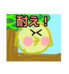 【毛糸編1】オカメインコちゃん（個別スタンプ：20）