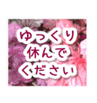 飛び出す！大人やさしい野の花【再販】（個別スタンプ：6）
