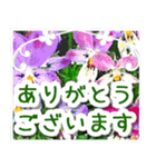 飛び出す！大人やさしい野の花【再販】（個別スタンプ：10）