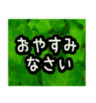 飛び出す！大人やさしい野の花【再販】（個別スタンプ：12）