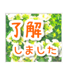 飛び出す！大人やさしい野の花【再販】（個別スタンプ：16）