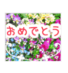 飛び出す！大人やさしい野の花【再販】（個別スタンプ：18）