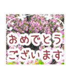 飛び出す！大人やさしい野の花【再販】（個別スタンプ：19）