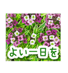 飛び出す！大人やさしい野の花【再販】（個別スタンプ：22）