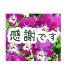 飛び出す！大人やさしい野の花【再販】（個別スタンプ：23）