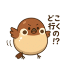 ぷかスズメ（個別スタンプ：30）