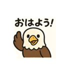 かわいいワシとタカの毎日スタンプ（個別スタンプ：1）