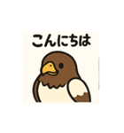 かわいいワシとタカの毎日スタンプ（個別スタンプ：2）
