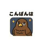 かわいいワシとタカの毎日スタンプ（個別スタンプ：3）