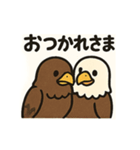 かわいいワシとタカの毎日スタンプ（個別スタンプ：6）