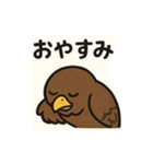 かわいいワシとタカの毎日スタンプ（個別スタンプ：9）