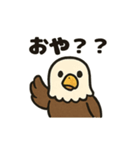 かわいいワシとタカの毎日スタンプ（個別スタンプ：10）