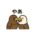 かわいいワシとタカの毎日スタンプ（個別スタンプ：11）