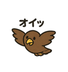 かわいいワシとタカの毎日スタンプ（個別スタンプ：12）