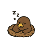 かわいいワシとタカの毎日スタンプ（個別スタンプ：14）
