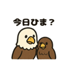 かわいいワシとタカの毎日スタンプ（個別スタンプ：15）