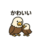 かわいいワシとタカの毎日スタンプ（個別スタンプ：17）
