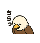 かわいいワシとタカの毎日スタンプ（個別スタンプ：18）