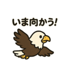 かわいいワシとタカの毎日スタンプ（個別スタンプ：19）