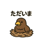 かわいいワシとタカの毎日スタンプ（個別スタンプ：20）