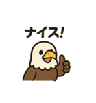 かわいいワシとタカの毎日スタンプ（個別スタンプ：23）