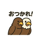 かわいいワシとタカの毎日スタンプ（個別スタンプ：24）
