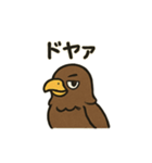 かわいいワシとタカの毎日スタンプ（個別スタンプ：27）