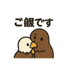 かわいいワシとタカの毎日スタンプ（個別スタンプ：33）