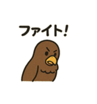 かわいいワシとタカの毎日スタンプ（個別スタンプ：34）