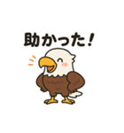 かわいいワシとタカの毎日スタンプ（個別スタンプ：38）