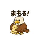 かわいいワシとタカの毎日スタンプ（個別スタンプ：40）