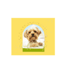 Woof Happens！（個別スタンプ：2）