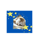 Woof Happens！（個別スタンプ：3）