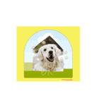 Woof Happens！（個別スタンプ：4）