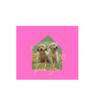 Woof Happens！（個別スタンプ：5）