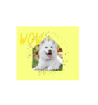 Woof Happens！（個別スタンプ：6）