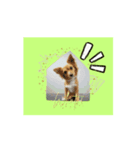 Woof Happens！（個別スタンプ：7）