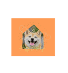 Woof Happens！（個別スタンプ：8）