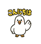 かわいい白鳩スタンプ（個別スタンプ：1）
