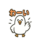 かわいい白鳩スタンプ（個別スタンプ：11）