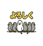 かわいい白鳩スタンプ（個別スタンプ：22）