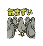 かわいい白鳩スタンプ（個別スタンプ：27）