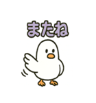 かわいい白鳩スタンプ（個別スタンプ：31）